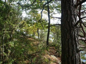Valbo Ryr 070 300x225