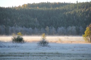 Valboryrssocken04 300x199