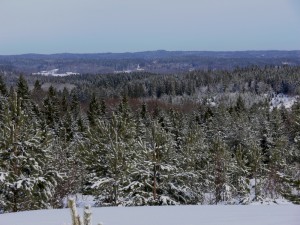 Valboryrssocken09 300x225