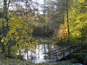 Valboryrssocken14 300x224